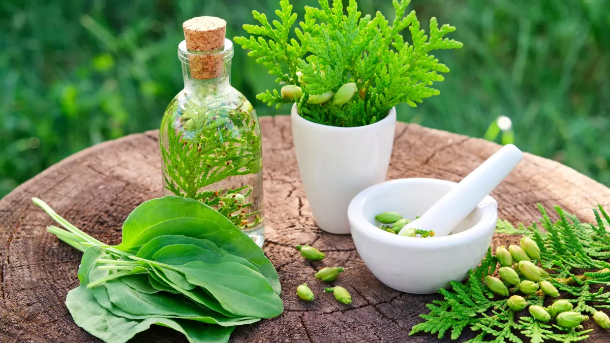 Naturopathie